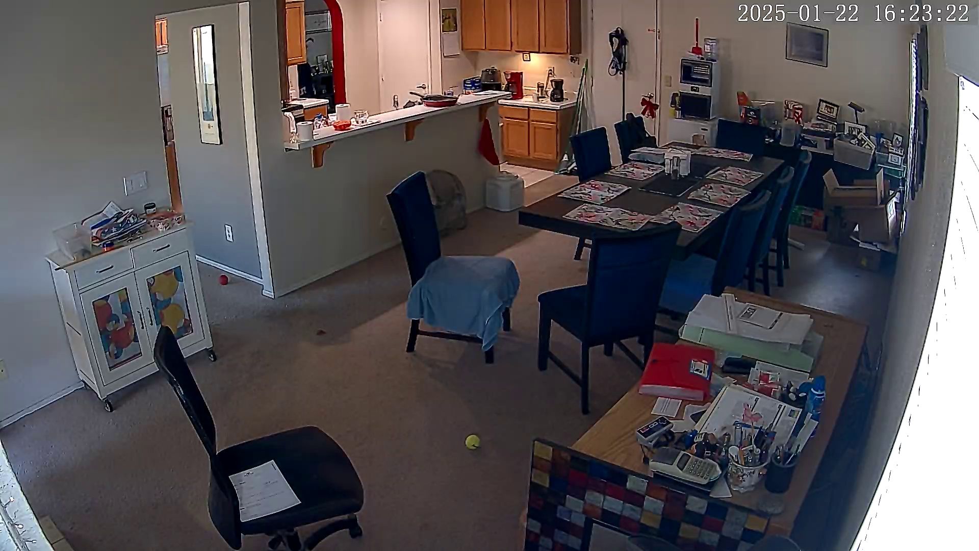 Nest Cam